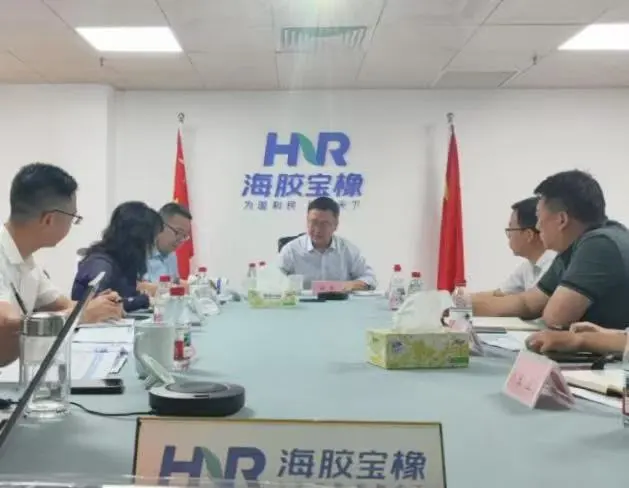 杨宇参加林产集团一季度经营分析会