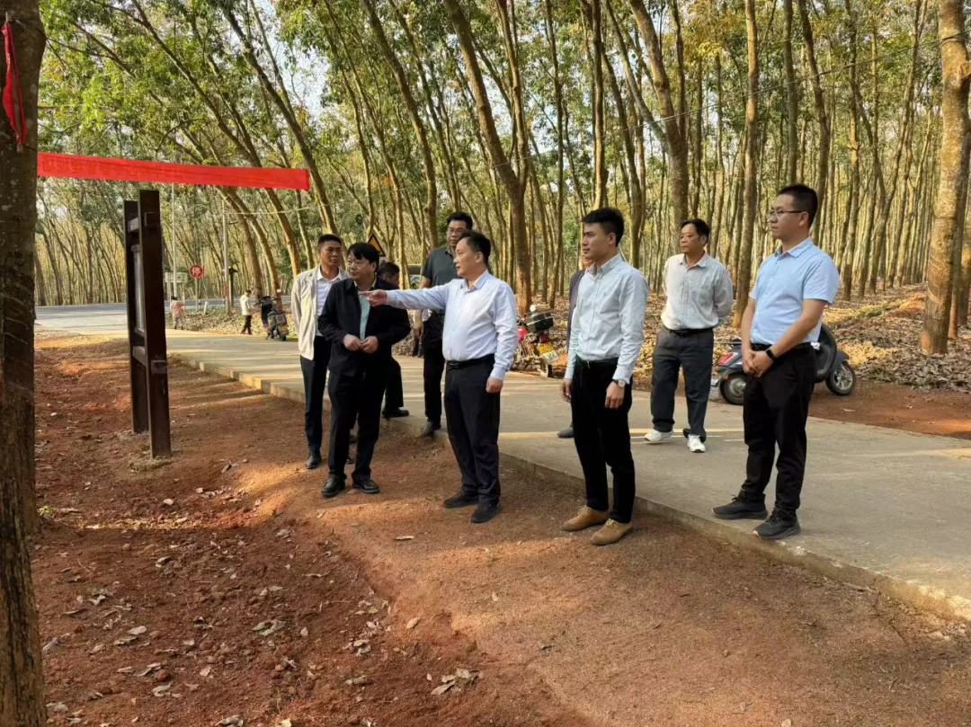 蔡克洪赴海南橡胶西部片区基地分公司调研